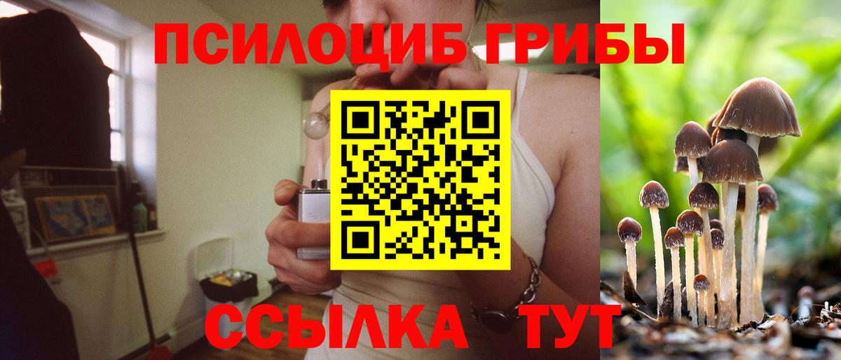 Псилоцибиновые грибы Magic Shrooms  Вход с VPN  Чернушка  Галлюциногенные грибы мухоморы 